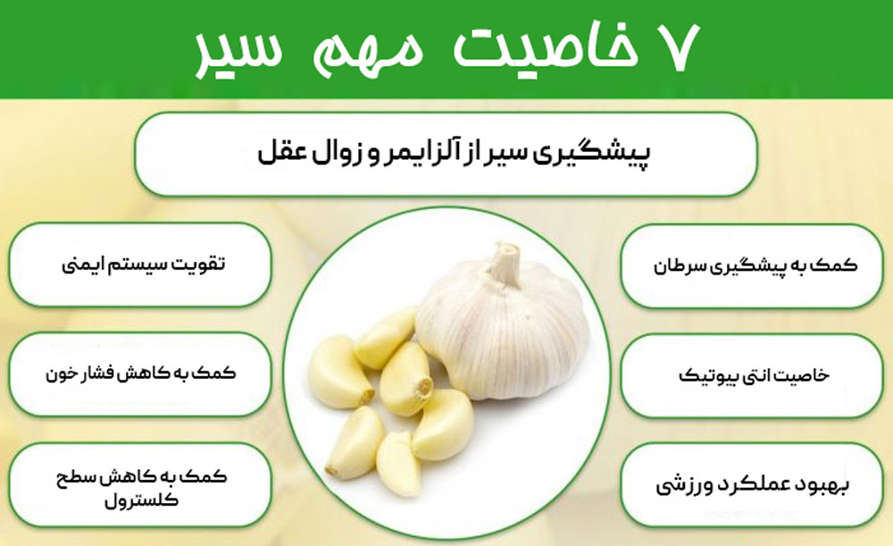 مهمترین فواید سیر